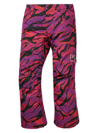 Product image of Men's Burton [ak] Swash GORE‑TEX 2L Pants[Variant:Slash Multi]