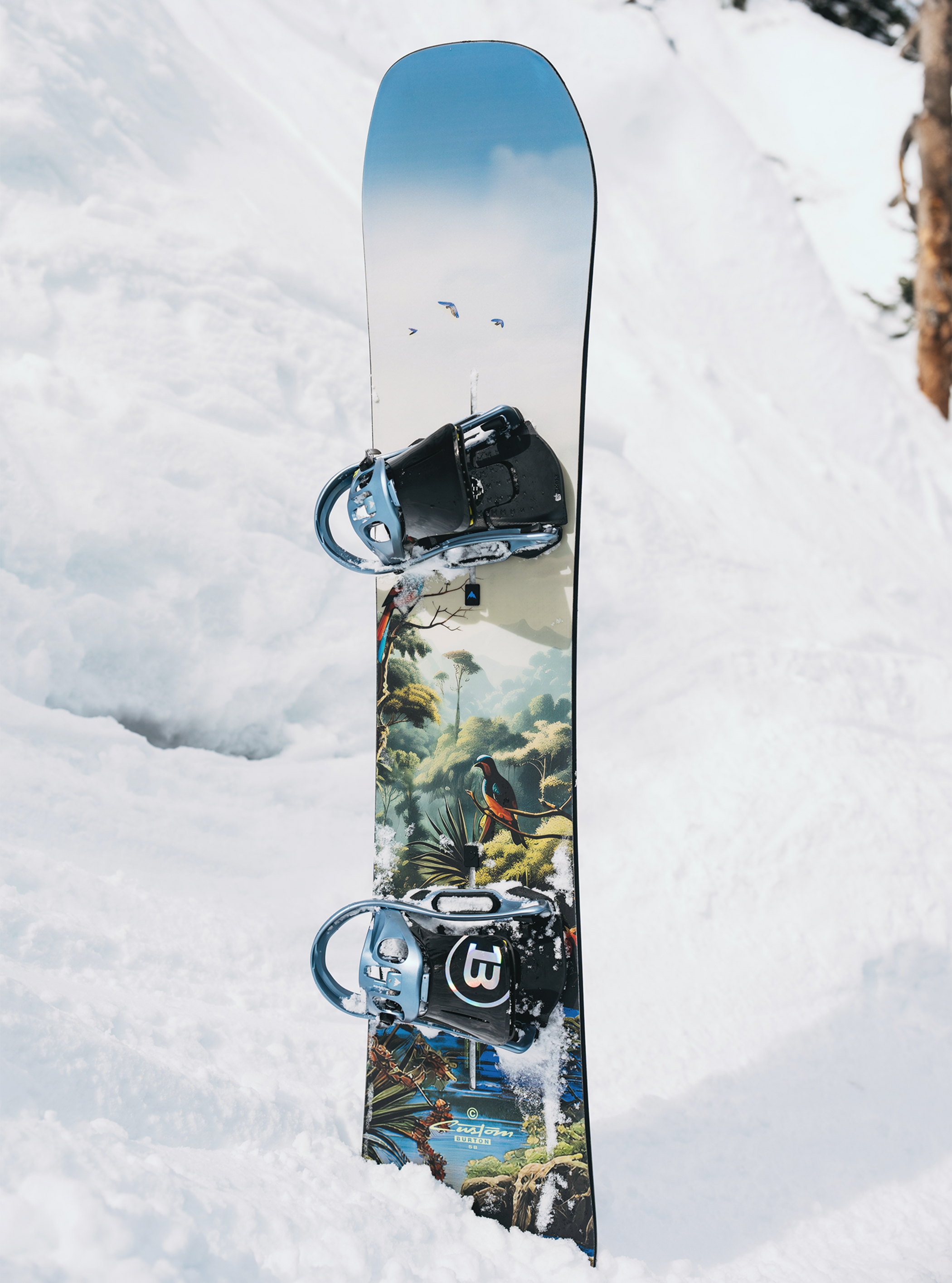 Burton Custom Camber Snowboard für Herren