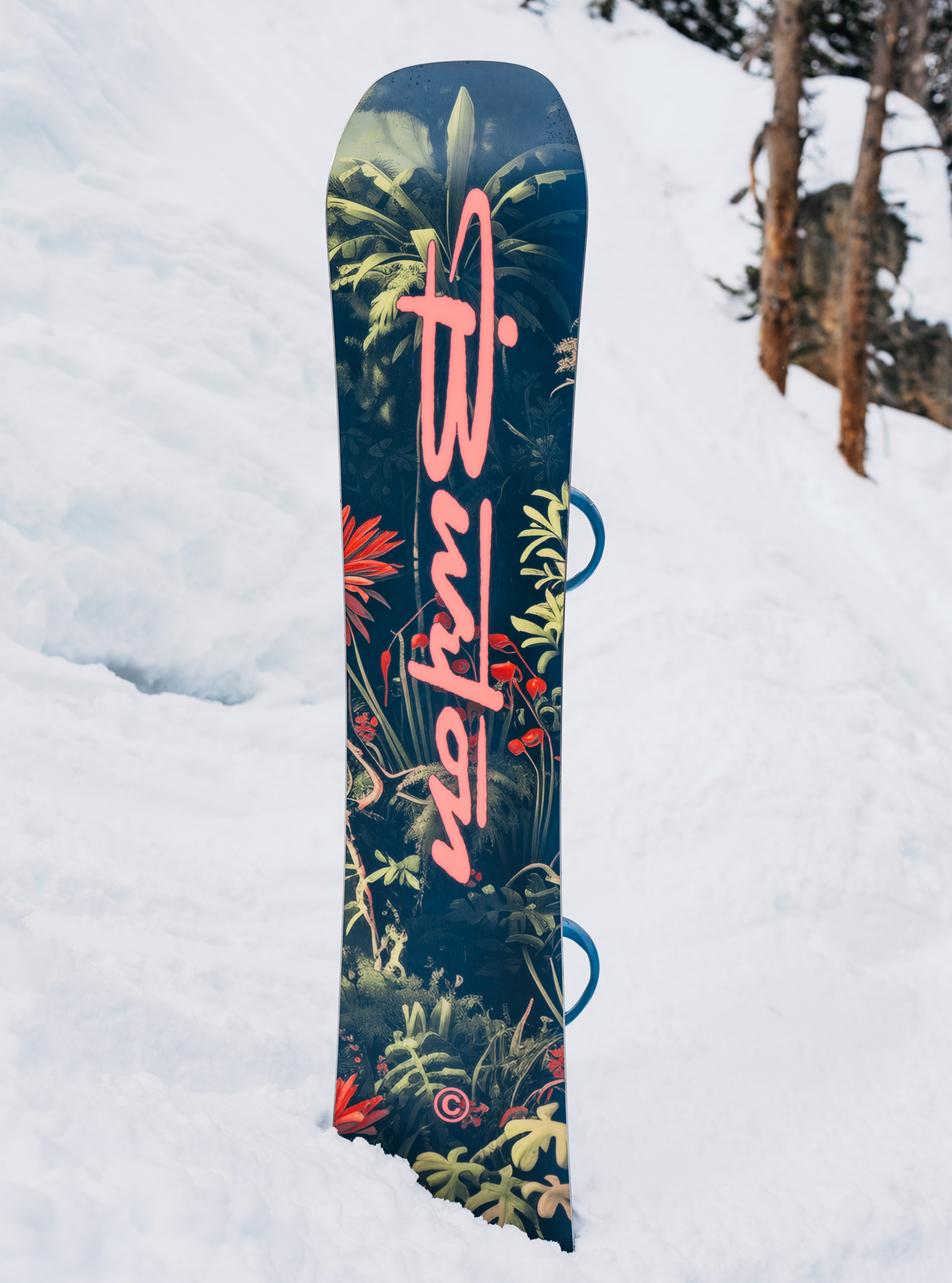 Burton Custom Camber Snowboard für Herren