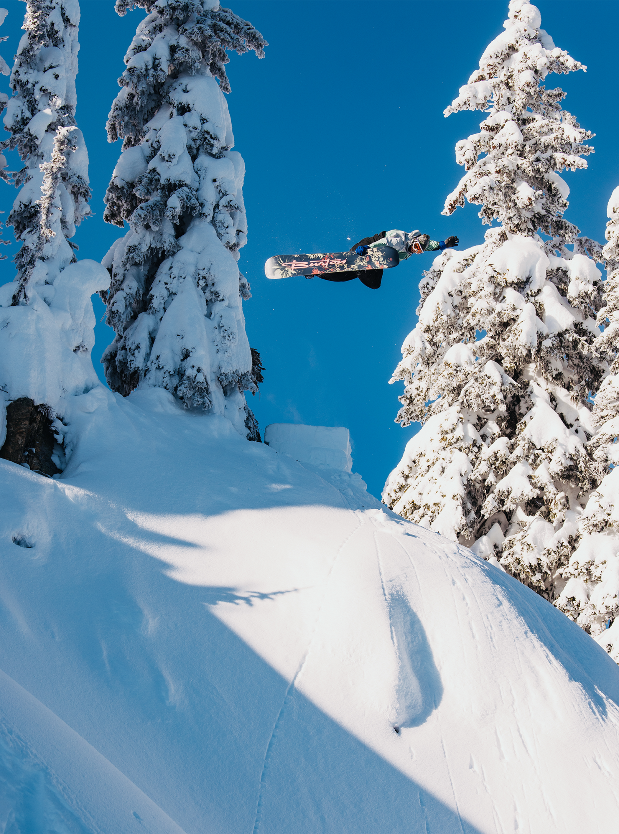 Product image of Men's Burton Custom Camber Snowboard[Variant:Jungle]