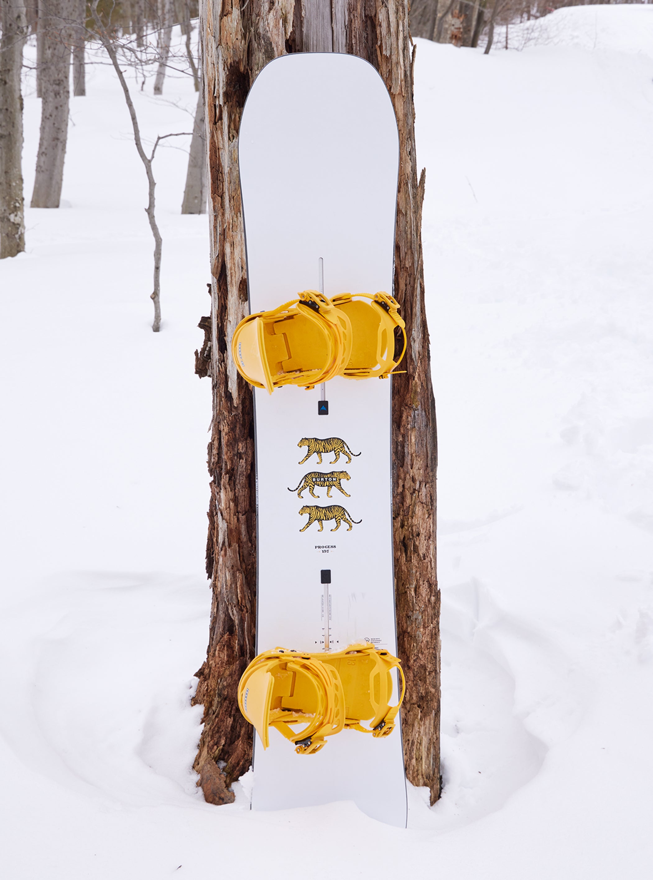 Burton – Snowboard à cambre Process homme