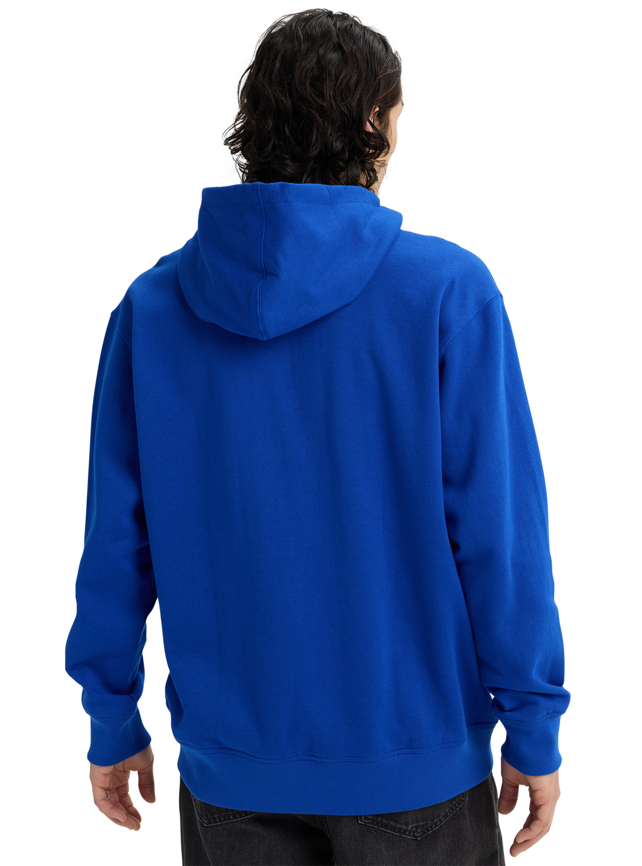 Burton Mountain Hoodie