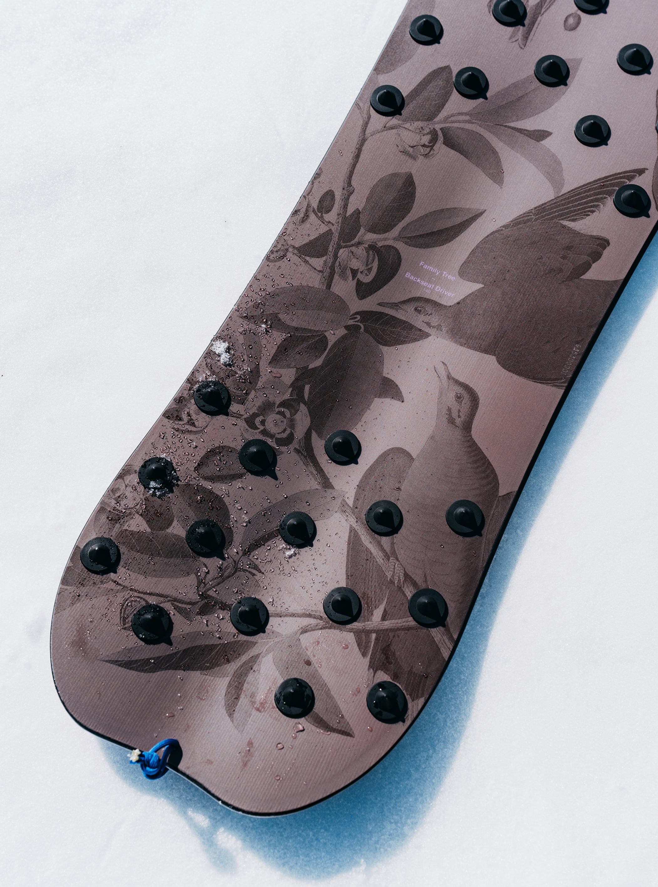 Burton Family Tree Backseat Driver Pow Surfing Snowboard
