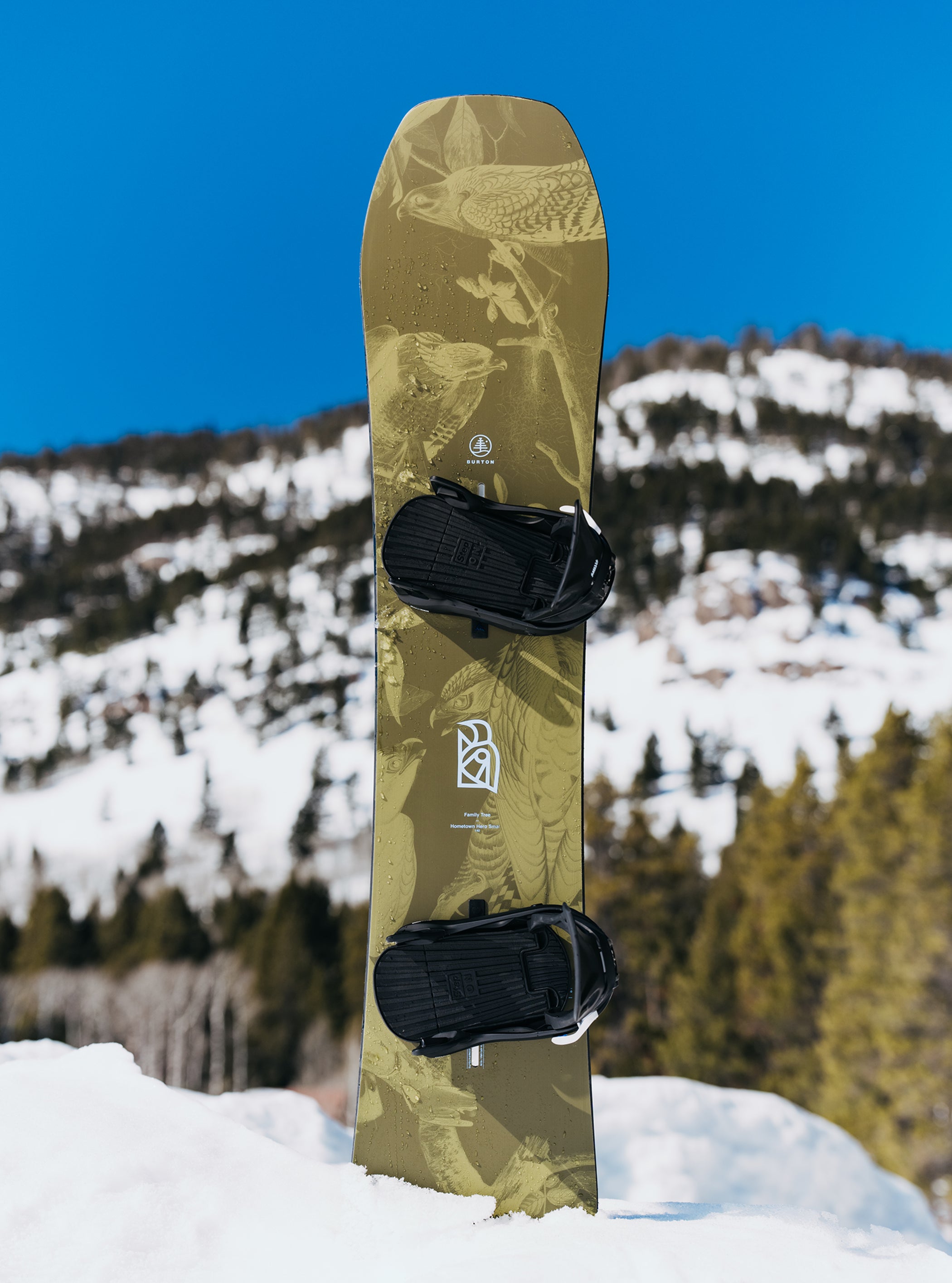 Burton Family Tree Hometown Hero Camber Snowboard für Kinder