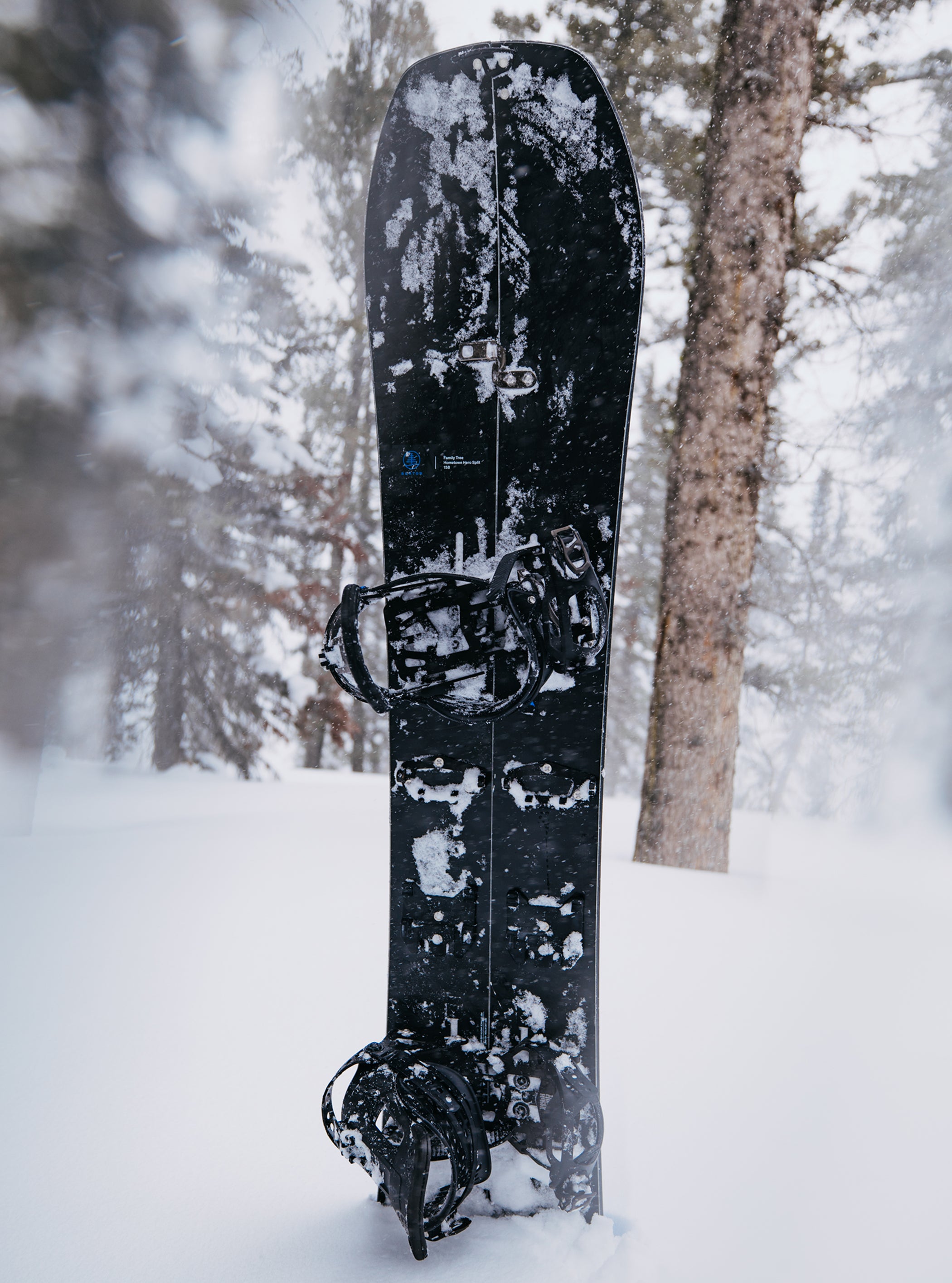 Burton Family Tree Hometown Hero Splitboard