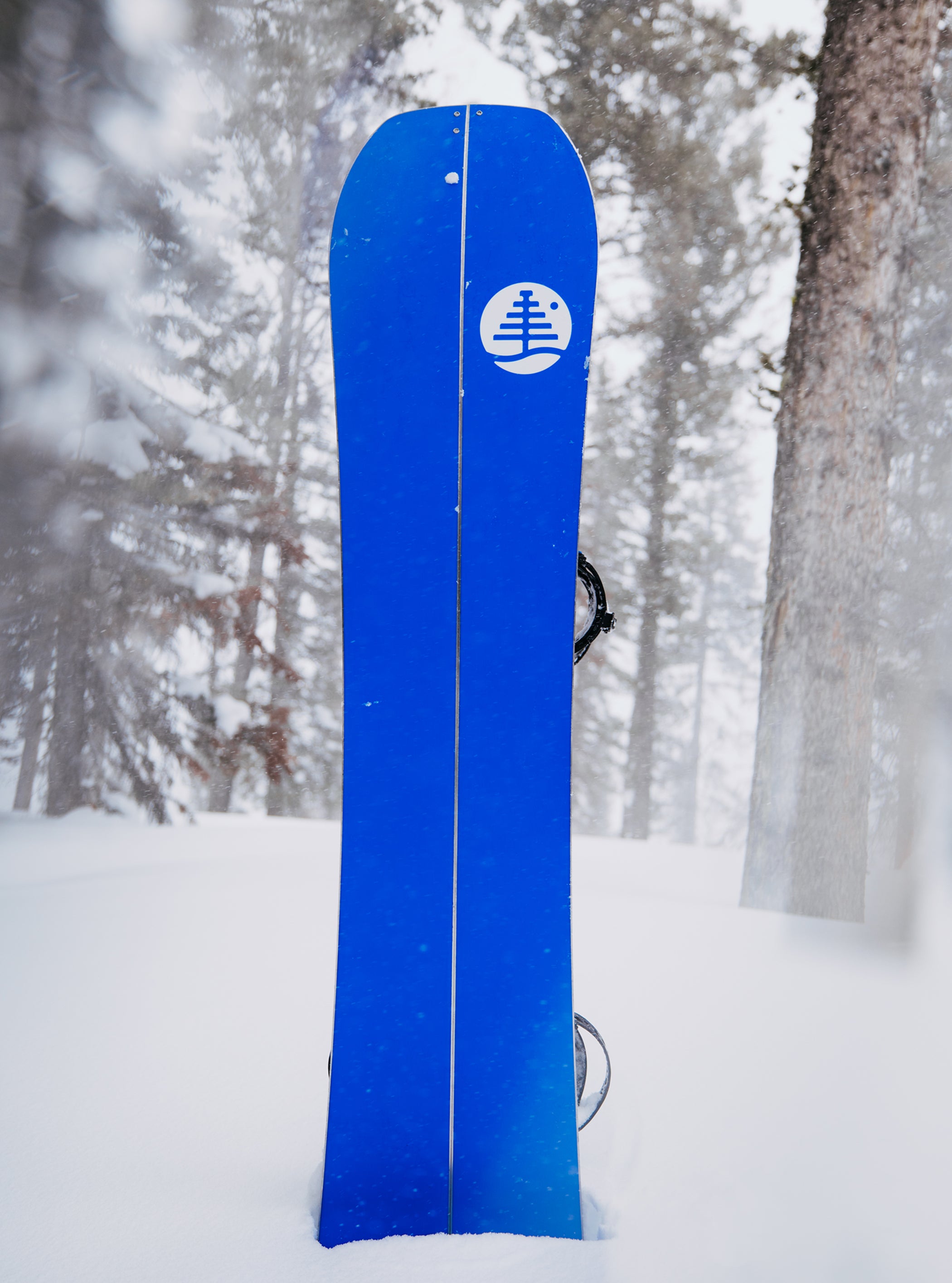 burton family tree landlord snowboard 2014 Alekesam Camber the Channel Surfers unique shape and profiling deliver unparalleled performance in the deepest snow Mellow 2026 | Turn The