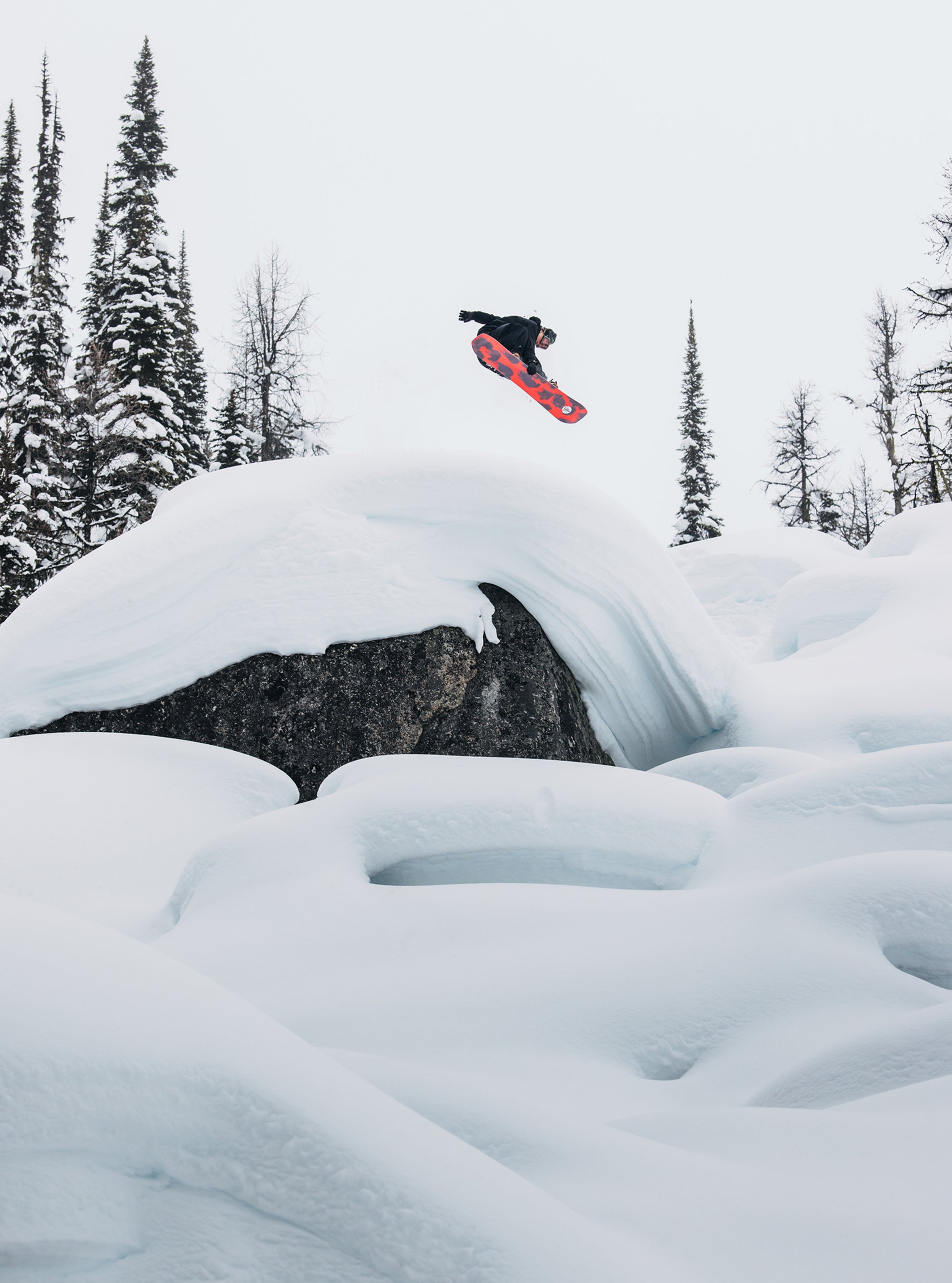 Burton Family Tree Hometown Hero Camber Snowboard