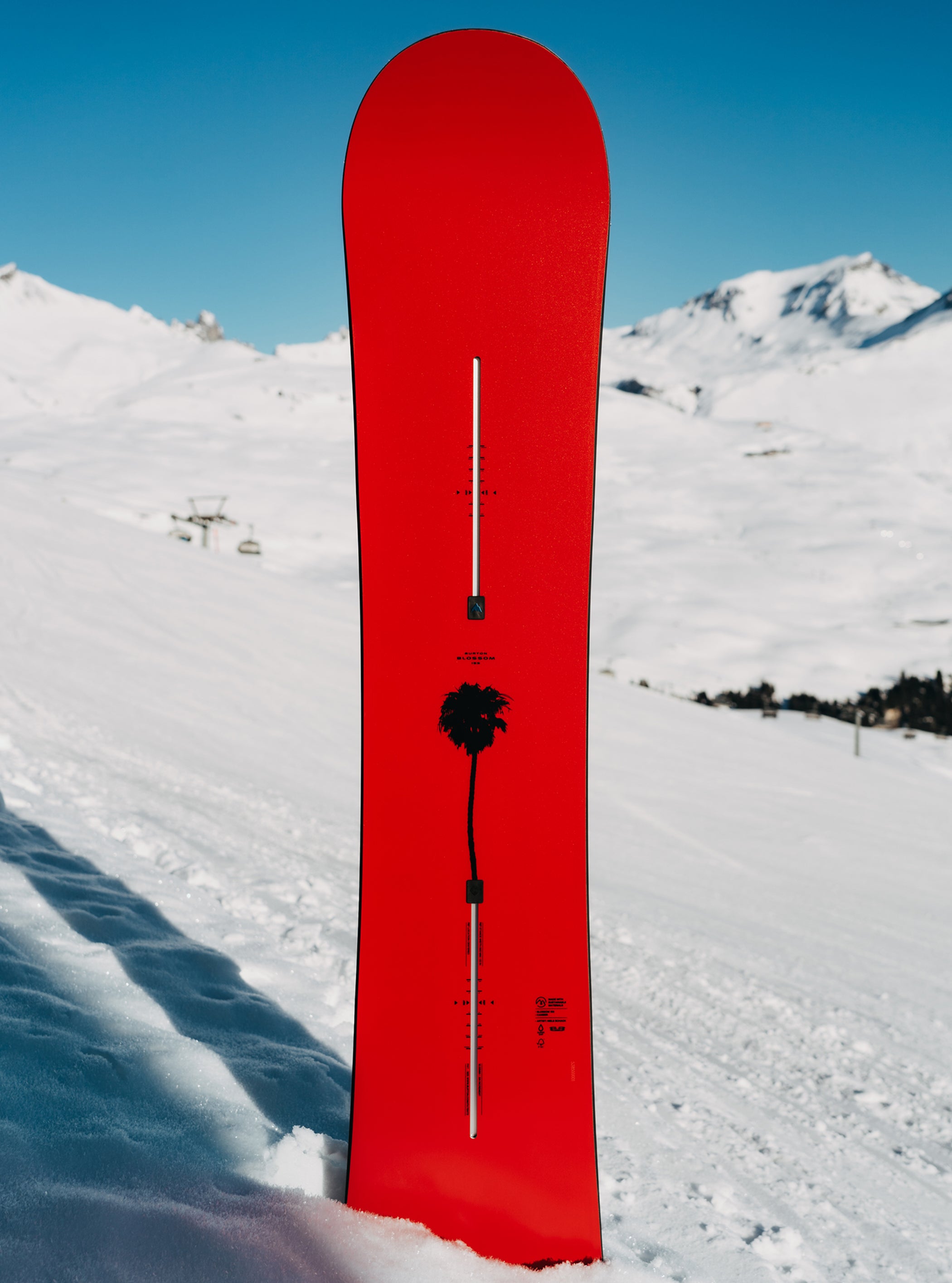 Snowboard à cambre Blossom de Burton