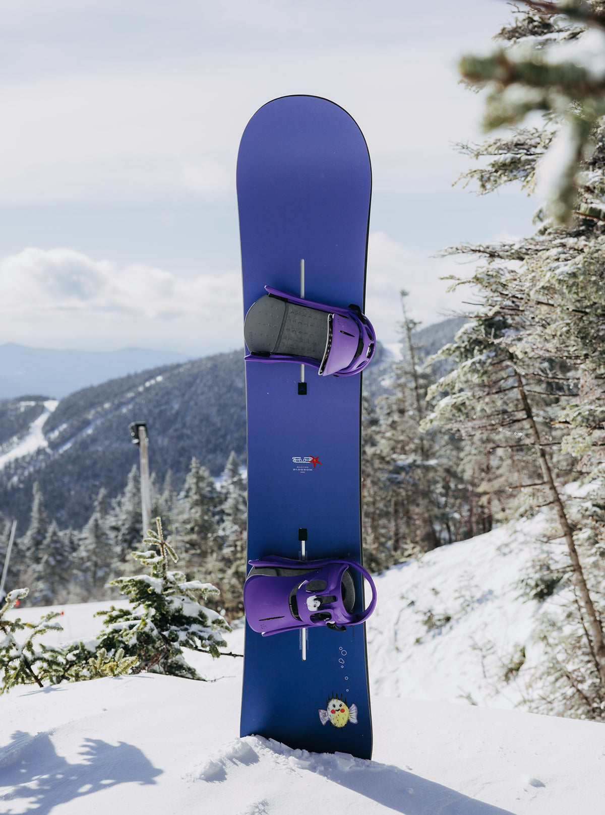 Burton Blossom Camber Snowboard