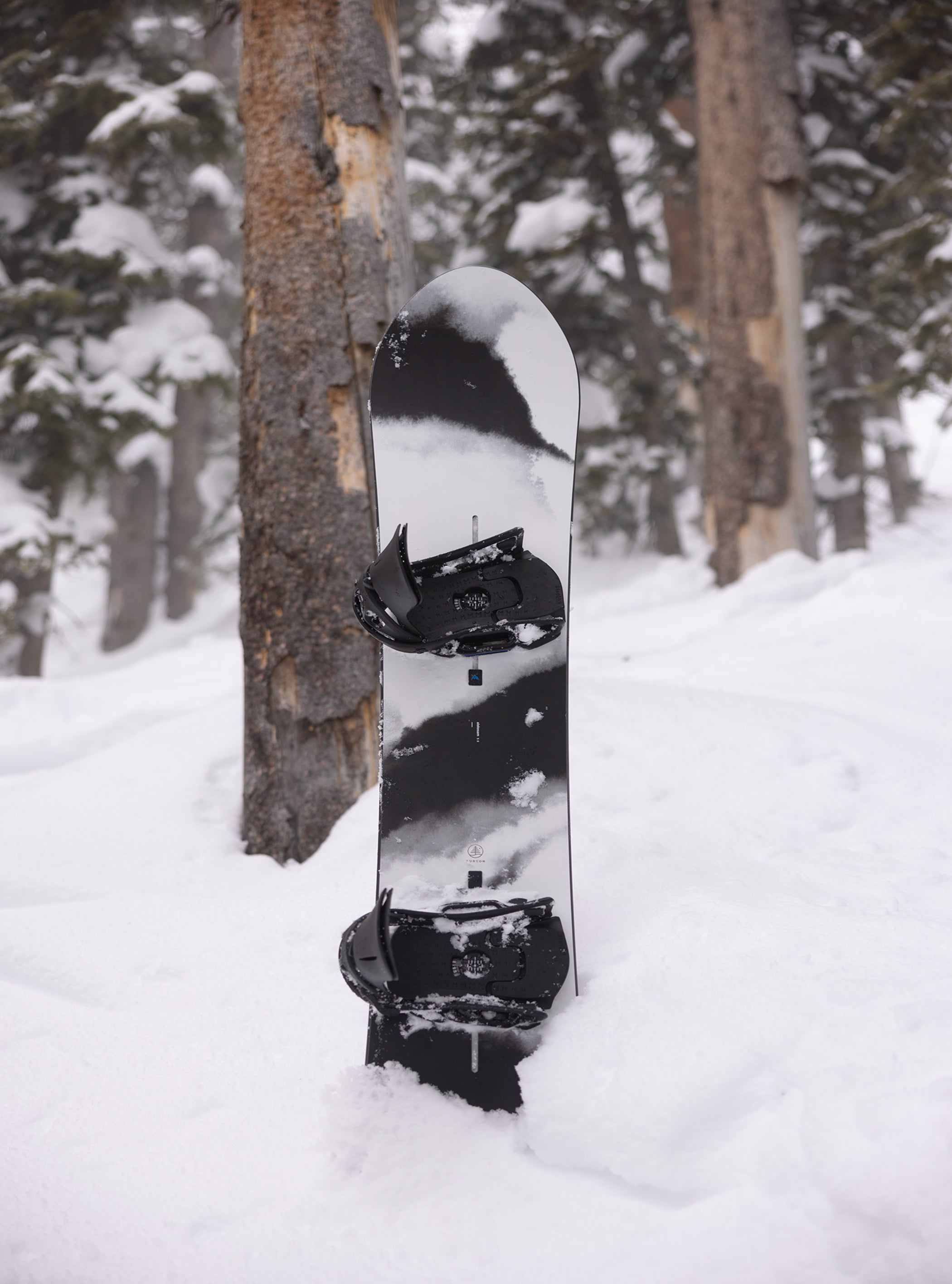 Burton Family Tree Alekesam Camber Snowboard