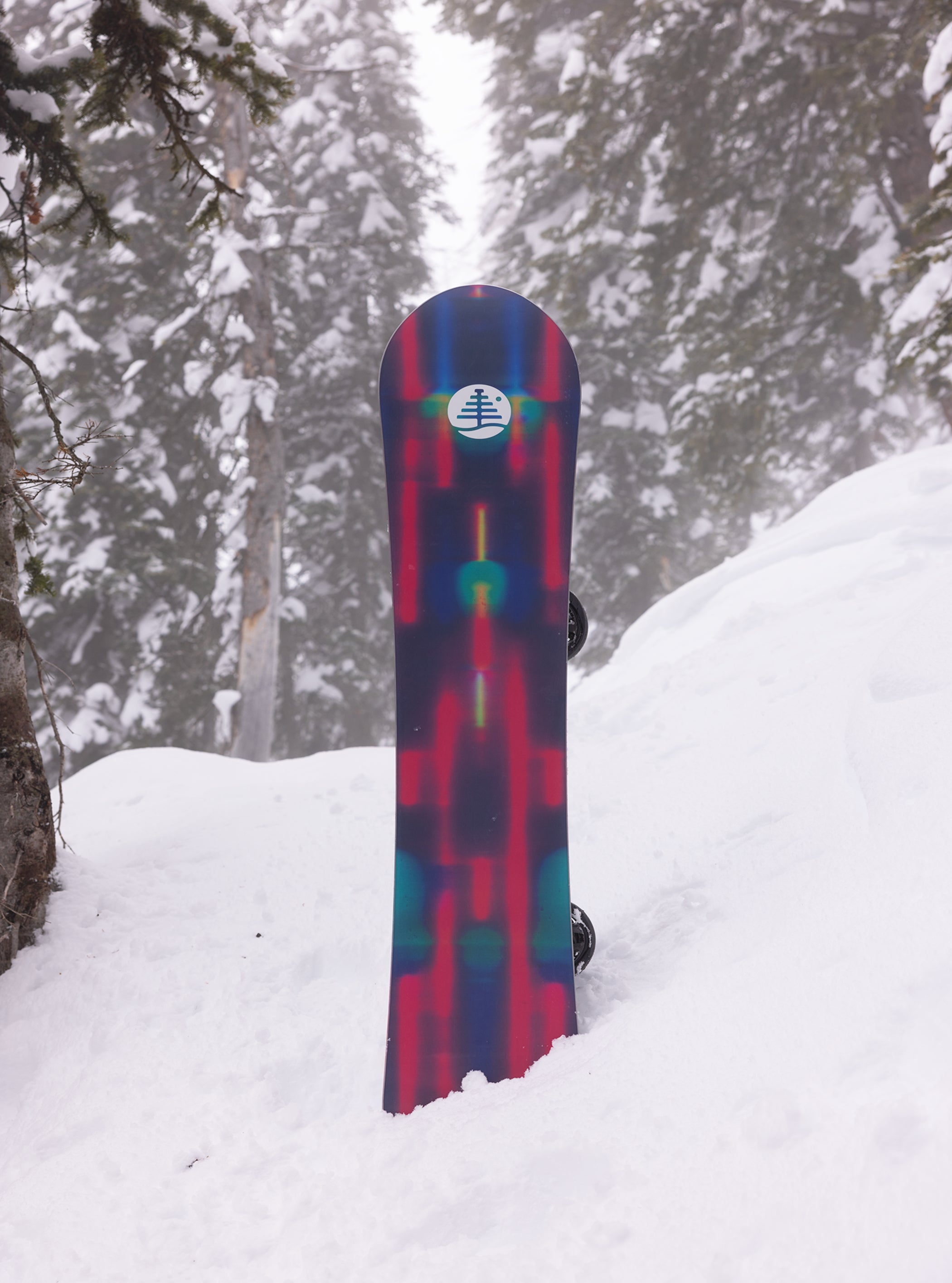 Burton Family Tree Alekesam Camber Snowboard