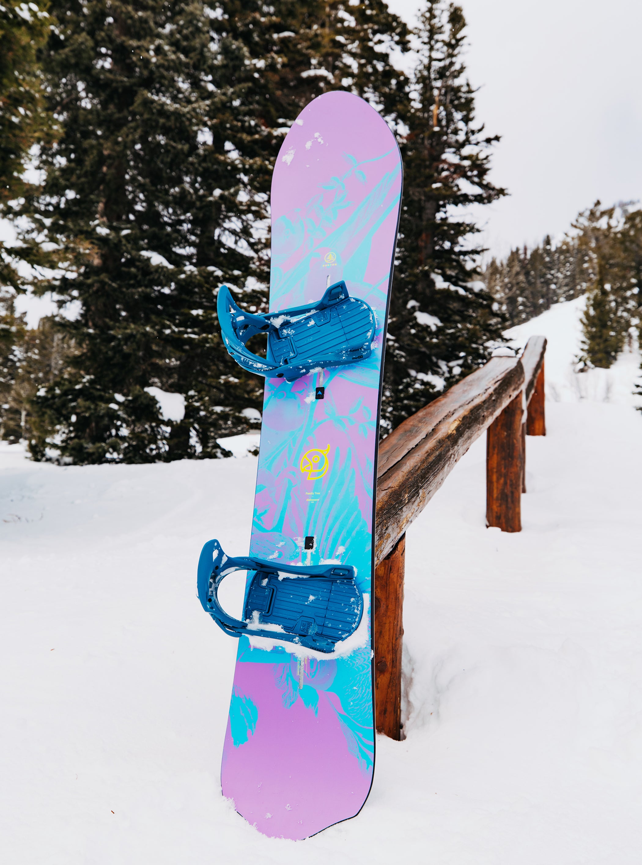 Burton - Snowboard à cambre Family Tree Alekesam