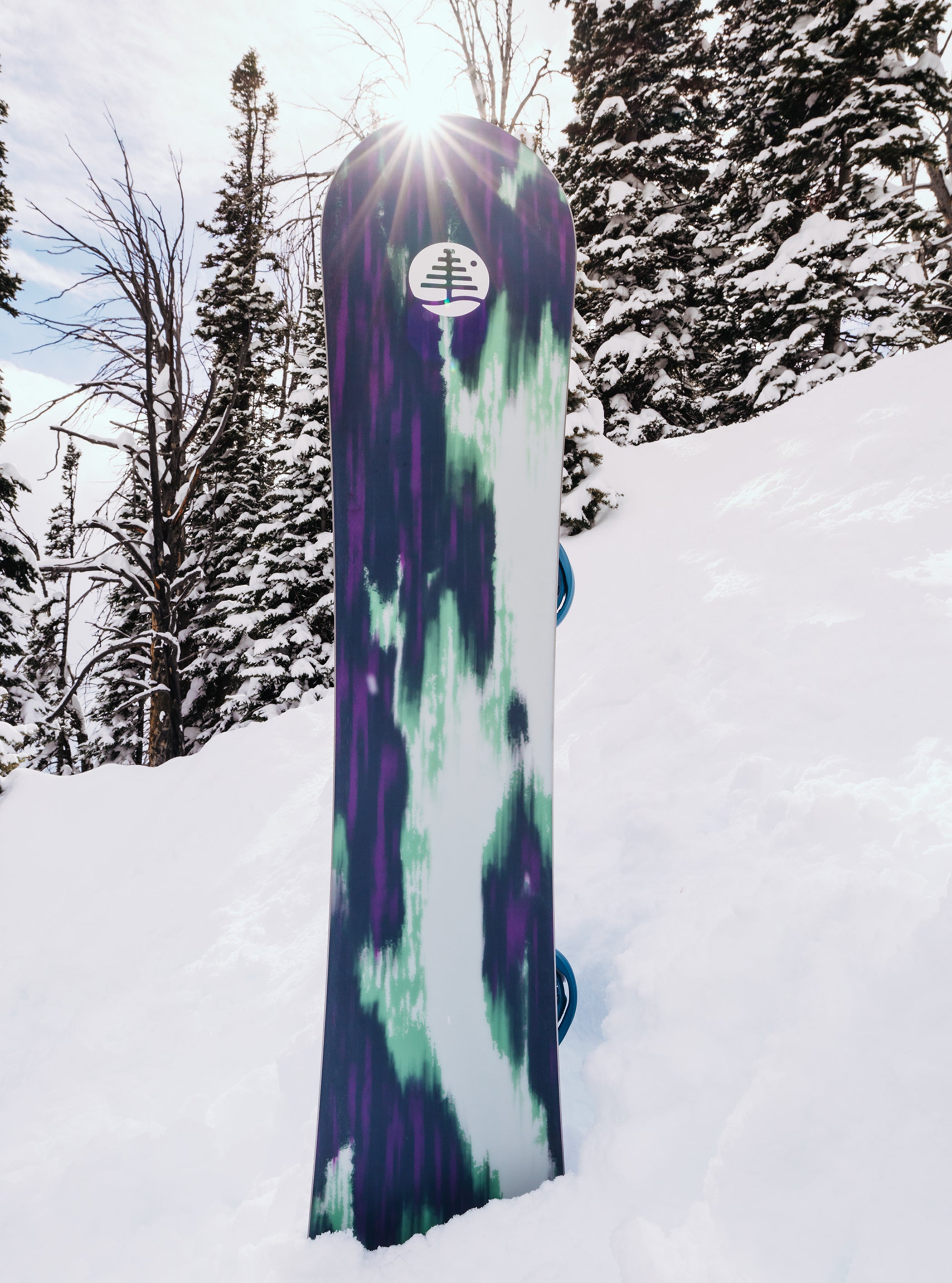 Burton Family Tree Alekesam Camber Snowboard