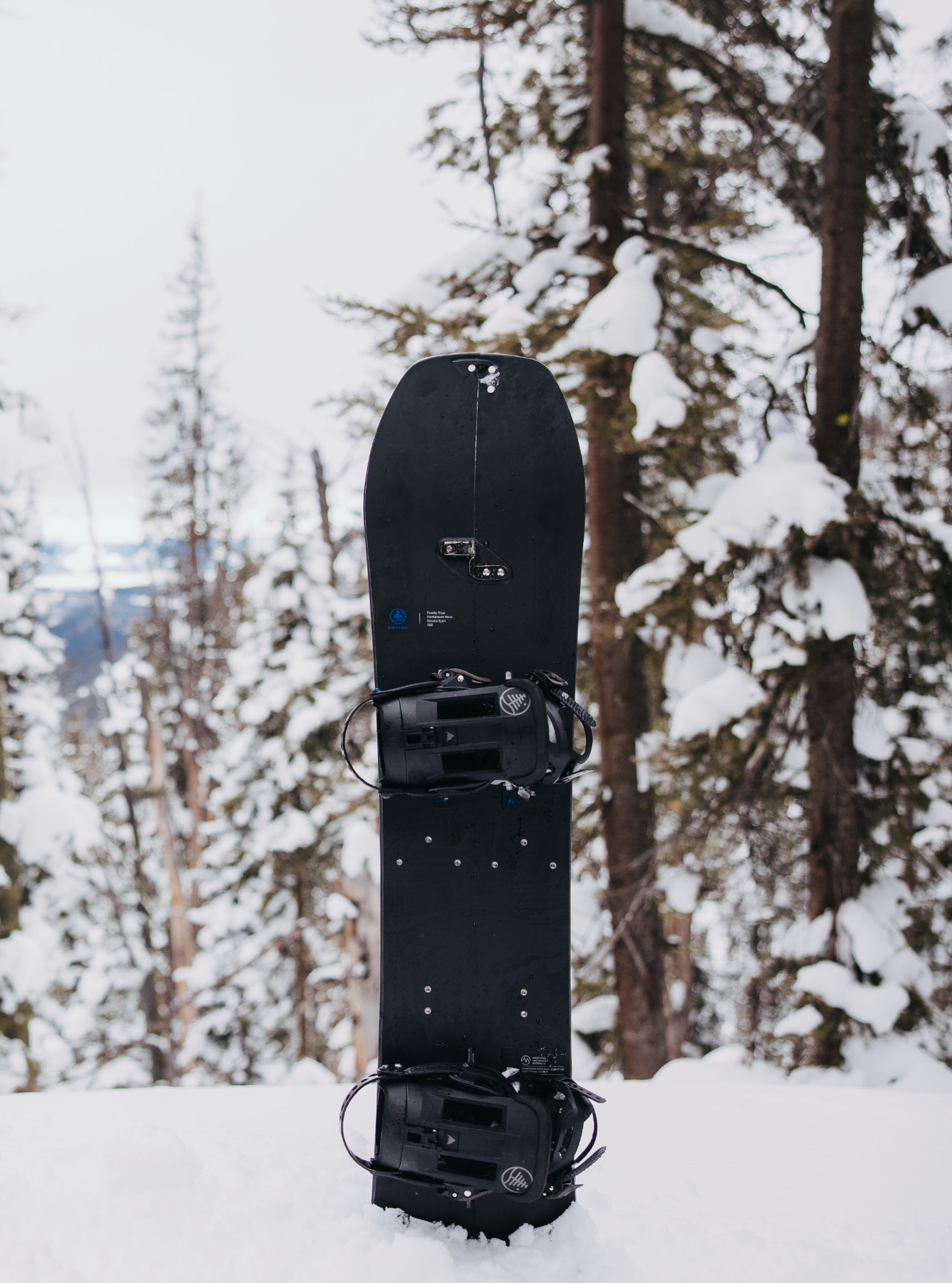 Burton Family Tree Hometown Hero Smalls Splitboard für Kinder