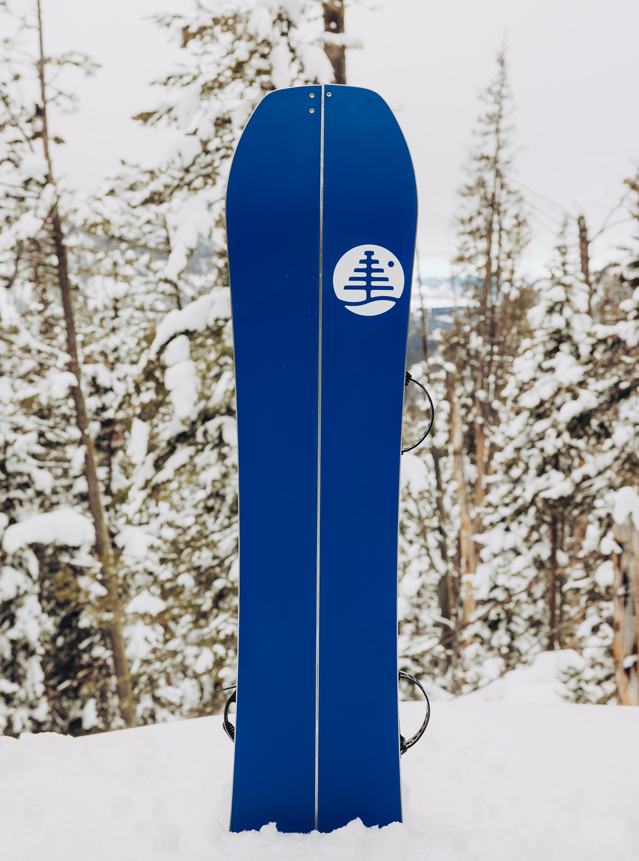 Burton Family Tree Hometown Hero Smalls Splitboard