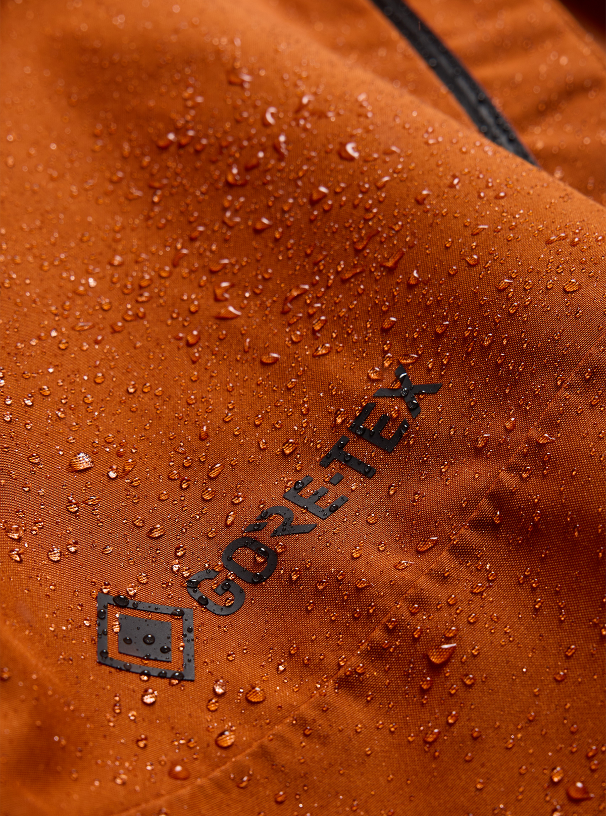 Burton - Veste Reserve GORE-TEX 2 L homme