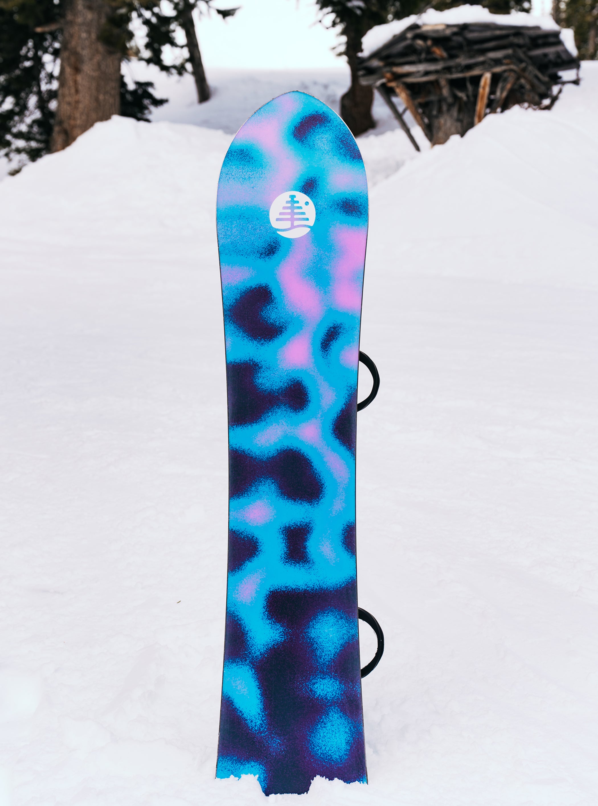 burton family tree branch manager snowboard Hometown Hero Camber Winter 2026 Available in a 155 size BURTON - Burton Family