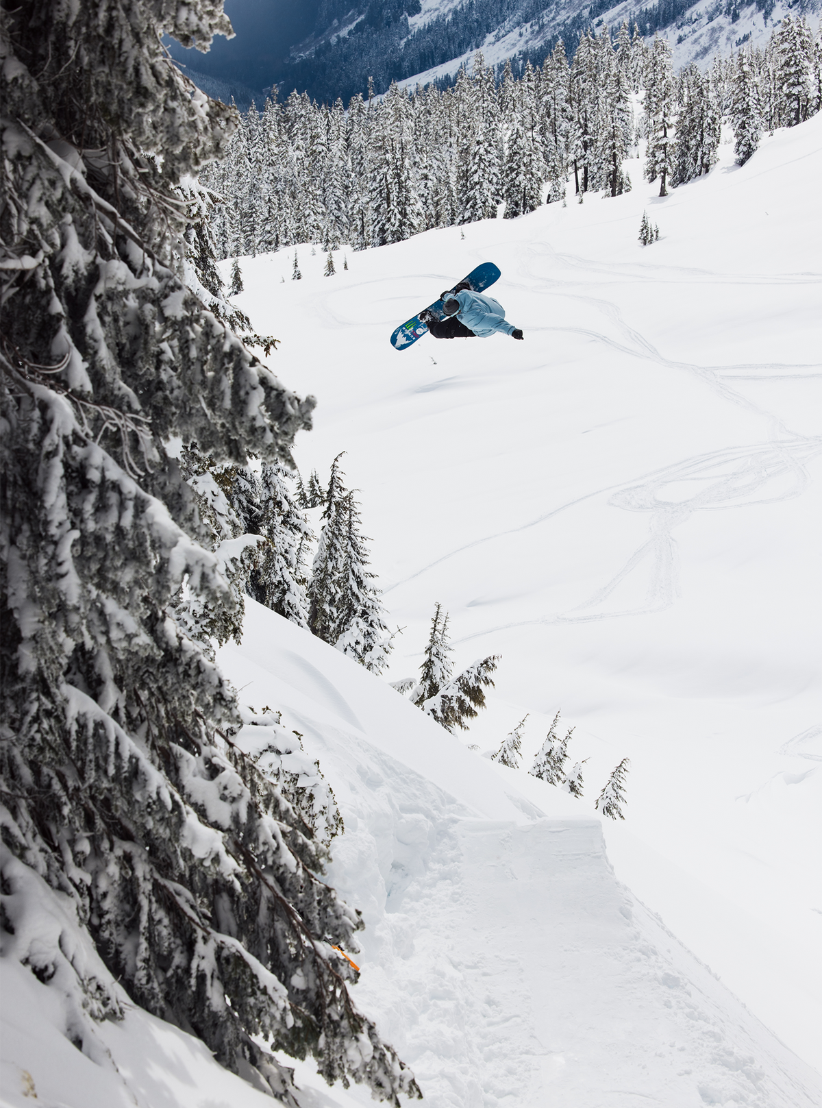 Burton Family Tree Full Nelson Camber Snowboard