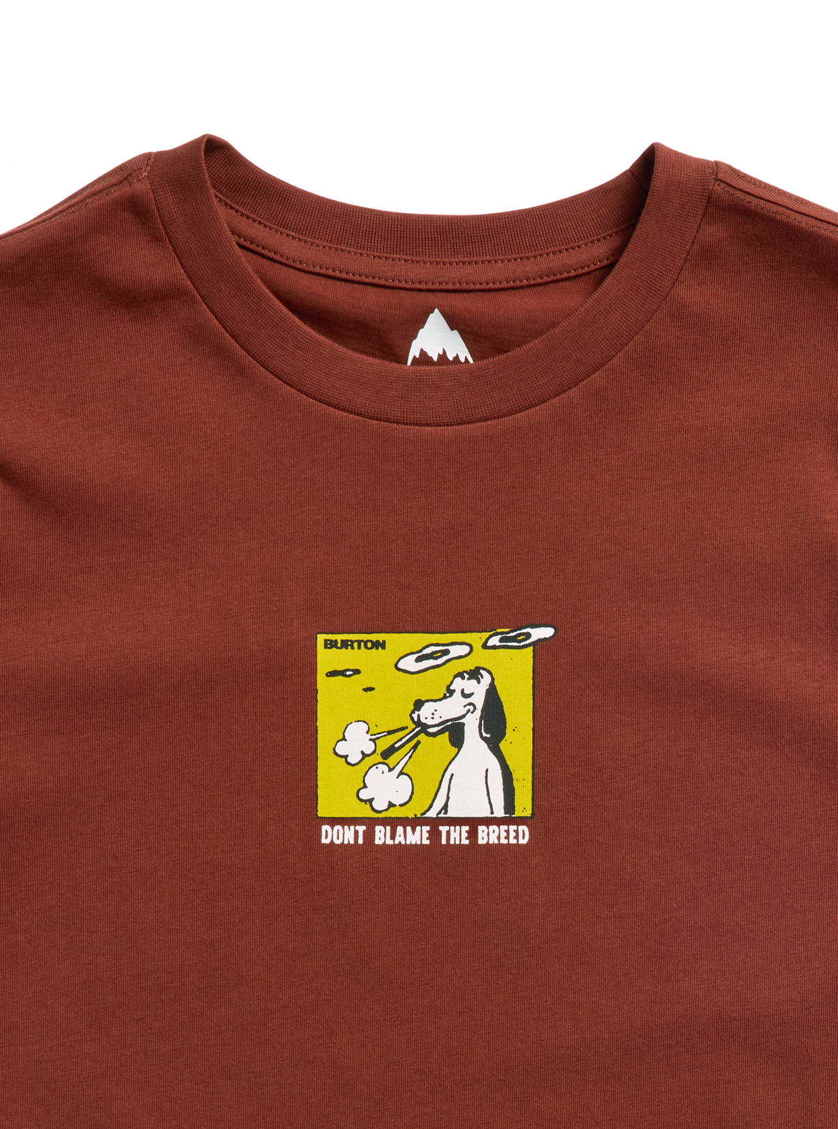 Burton Not Fazed Short Sleeve T-Shirt