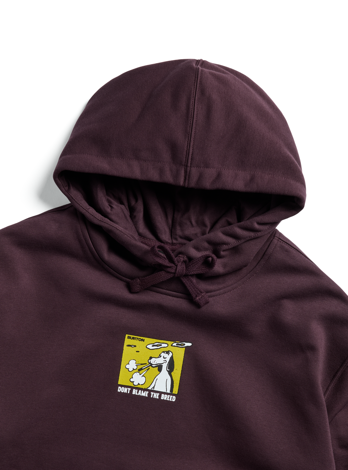 Burton Not Fazed Pullover Hoodie