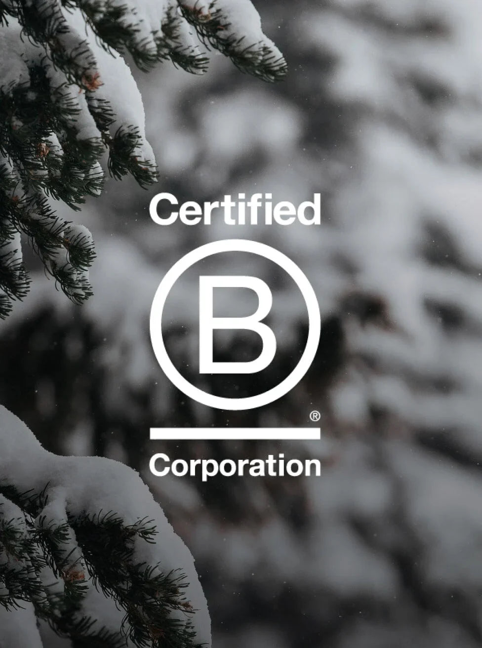 Certified B Corporation logo with snow-covered trees in the background