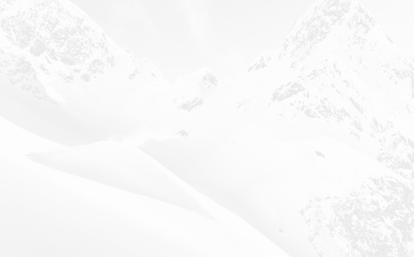 Burton 50th 95 Jacket 2027 | Lifestyle Apparel