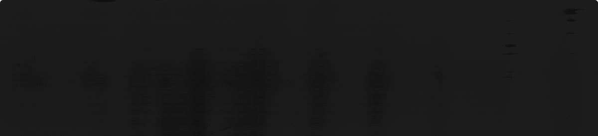 textured, dark gray background